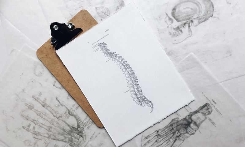 Picture of a spine on a clipboard