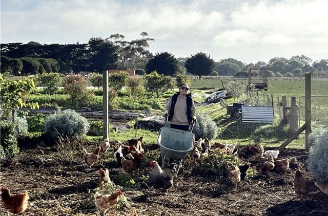GMHBA staff voluteering at the Common Ground project