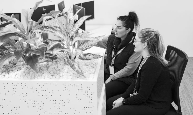 Office worker showing graduate how a process works