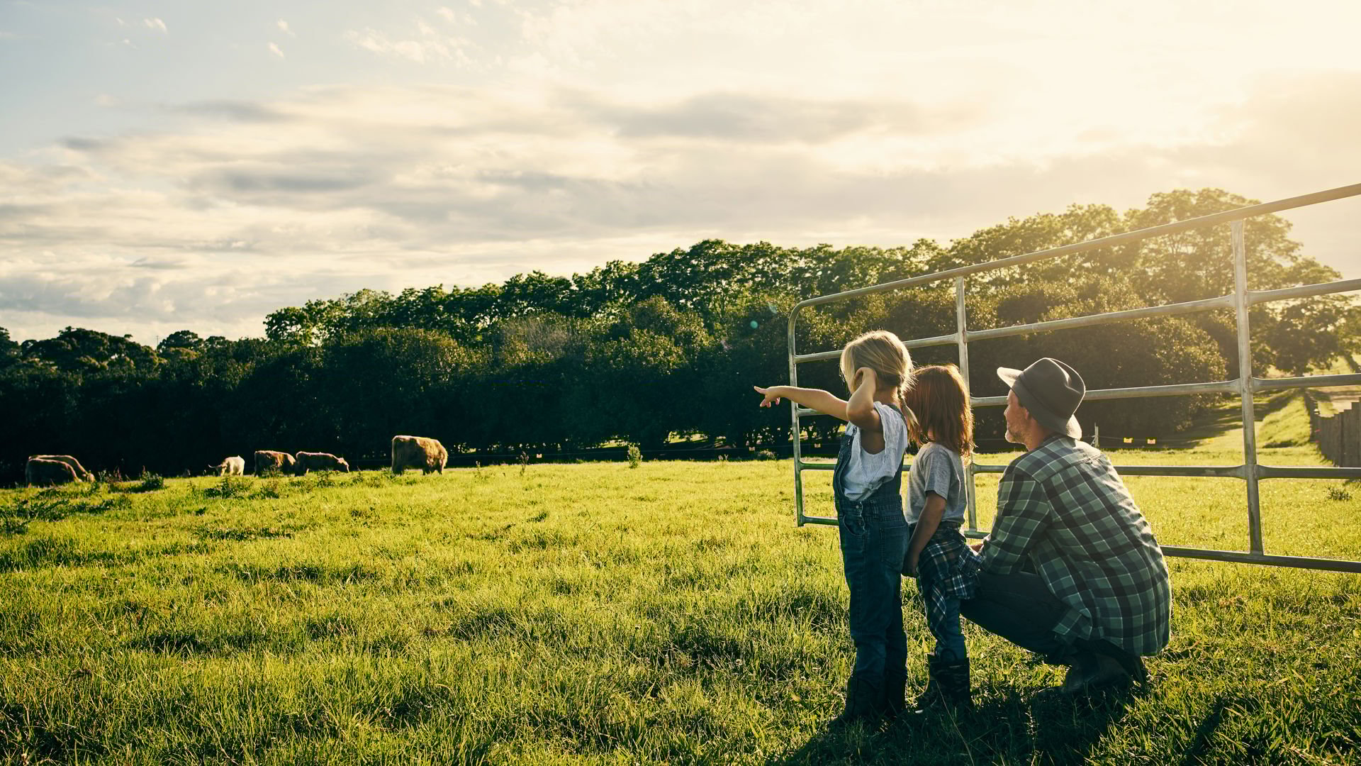 Person outside in a canola field